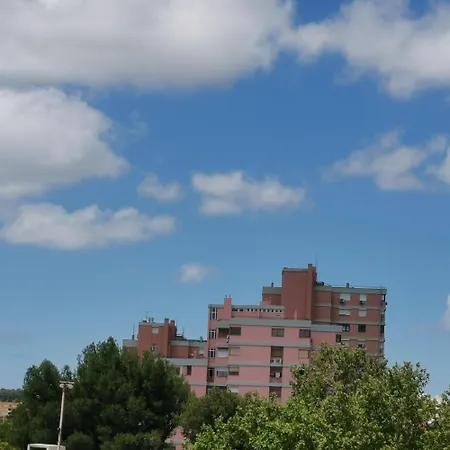 Проживание в семье Forts